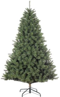 Black Box Trees Norwood — royale kerstboom zonder gedoe