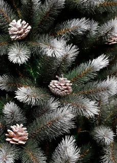 Black Box Trees Pittsfield Kunstkerstboom H230 Groen Frosted