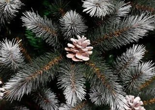 Black Box Trees Pittsfield Kunstkerstboom H230 Groen Frosted