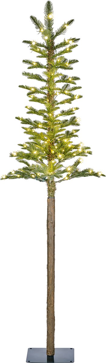 Black Box Trees Pleso kerstboom LED 100L groen 155x48cm
