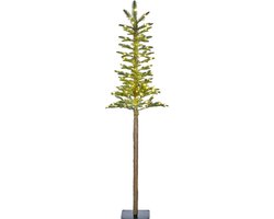 Black Box Trees Pleso kerstboom LED 100L groen 155x48cm