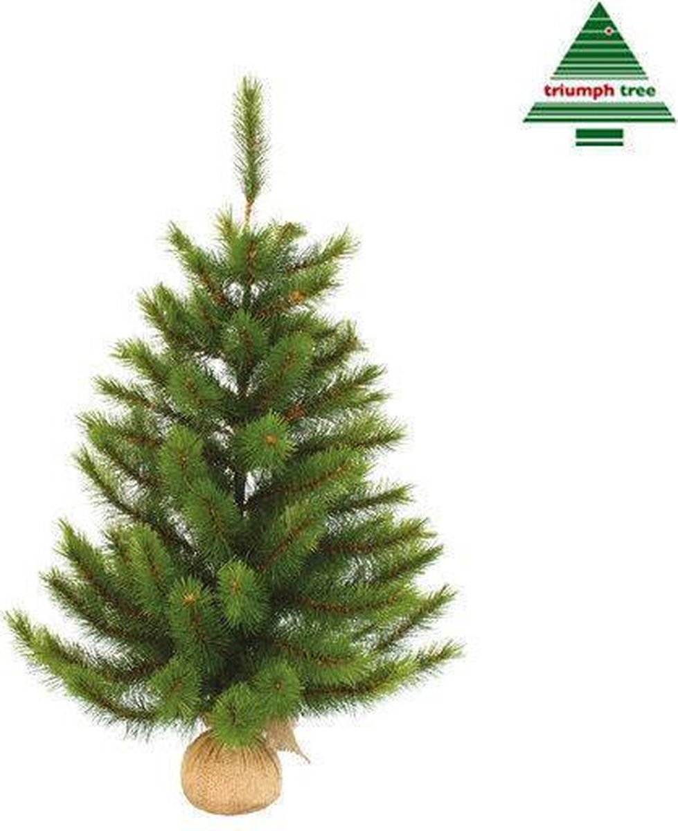 Black Box Trees Richmond Kunstkerstboom H90 Groen