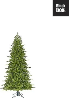 Black Box Trees Scrub kerstboom groen TIPS 1436 h155x91cm