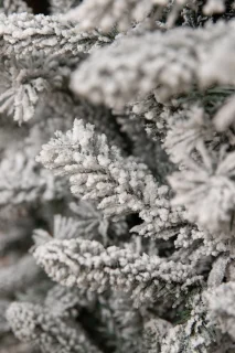 Black Box Trees Snowdon Kunstkerstboom Groen Frosted H155xØ102 cm
