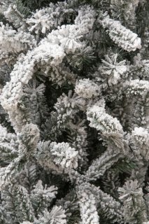 Wat vinden we goed aan de Black Box Trees Snowdon Kunstkerstboom