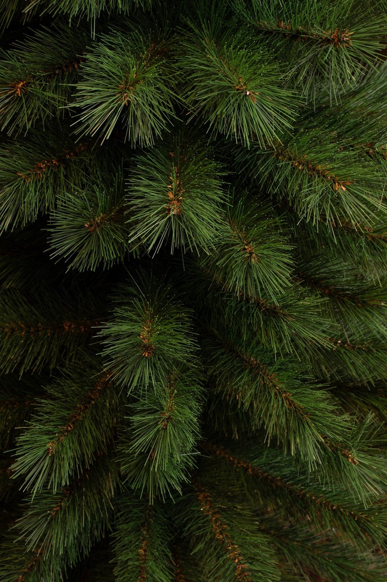 Black Box Trees Sotka Kunstkerstboom Smal 260 cm Groen