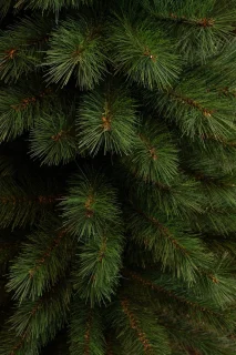 Black Box Trees Sotka Kunstkerstboom Smal 260 cm Groen