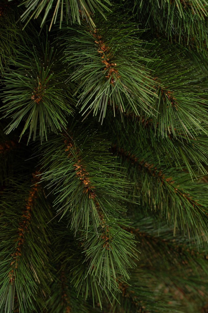 Black Box Trees Sotka Kunstkerstboom Smal 260 cm Groen