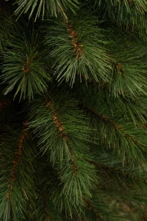 Black Box Trees Sotka Kunstkerstboom Smal 260 cm Groen