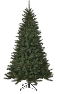 Black Box Trees Toronto Kerstboom Groen H185xØ114 cm
