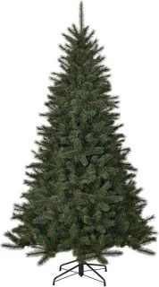 Black Box Trees Toronto Kerstboom Groen H185xØ114 cm