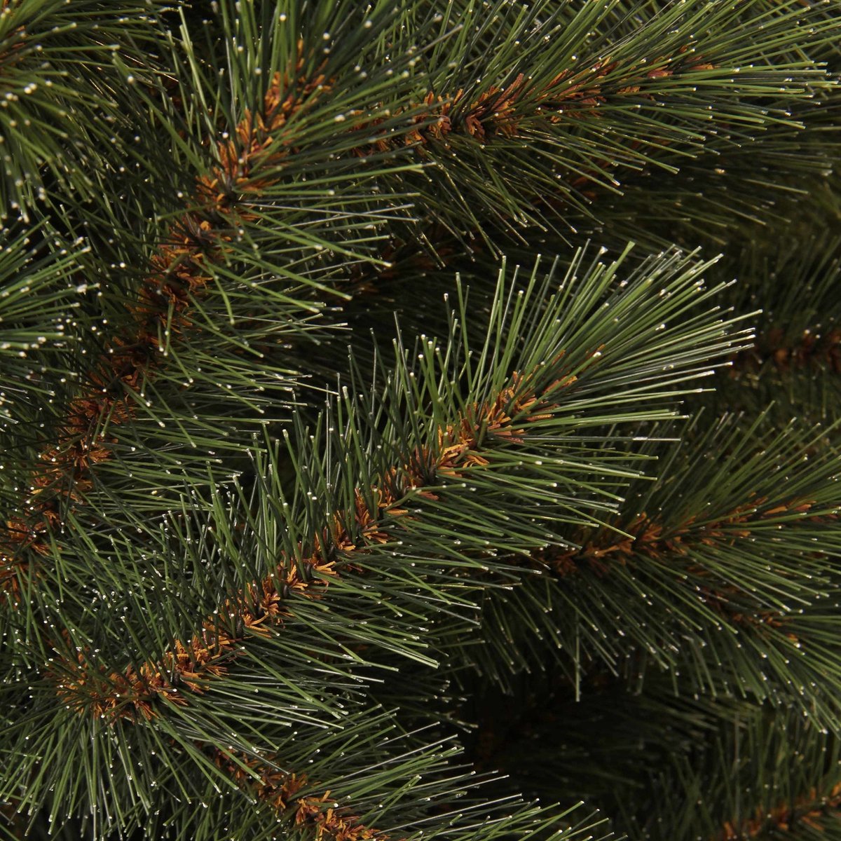 Black Box Trees Toronto Kerstboom Groen H185xØ114 cm