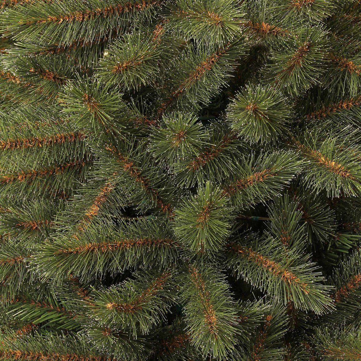 Black Box Trees Toronto Kerstboom Groen H185xØ114 cm