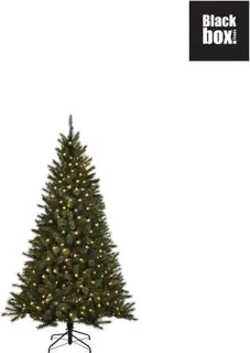 Black Box Trees Toronto Kunstkerstboom