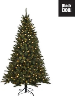 Black Box Trees Toronto Kunstkerstboom