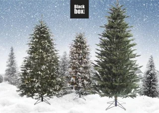 Black Box Trees Toronto Kunstkerstboom 230 cm