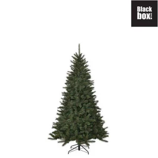 Black Box Trees Toronto Kunstkerstboom