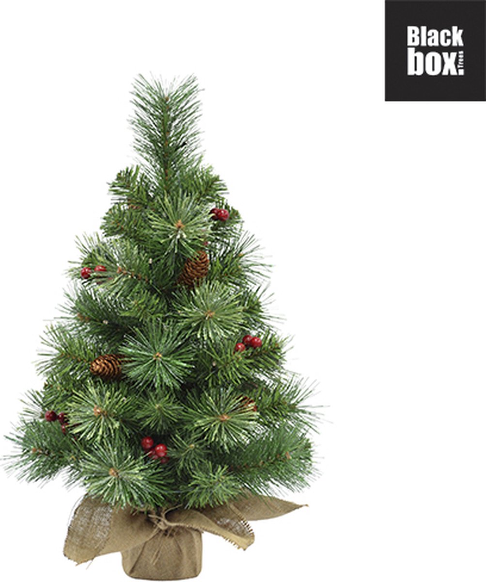 Black Box Trees Warth kerstboom burlap groen h60xØ35cm