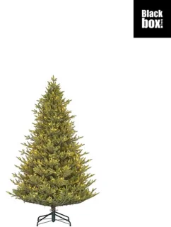 Black Box X-mas Tree TIPS 1687