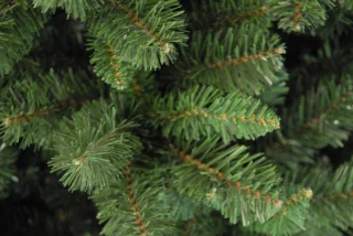 Blackhill kunstkerstboom 210 cm