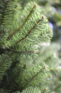 Boston kunstkerstboom 180 cm groen met metalen voet