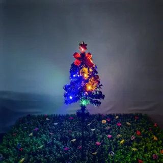 Buitenkerstboom 80 cm