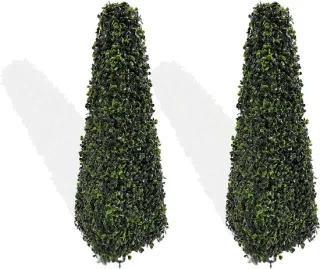Buxus Obelisk 60 cm - Groen