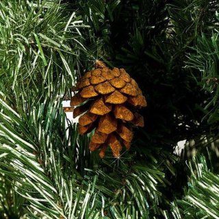 Casaria Kerstboom 180cm PVC Groen-Wit