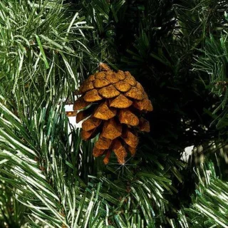 Casaria Kerstboom 180cm PVC Groen-Wit