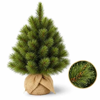 Cheqo® mini kerstboom 45 cm