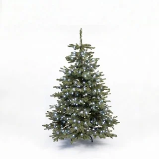 Christmas1967 Nordmann kerstboom 150 cm
