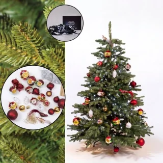 Christmas1967 Nordmann kerstboom 150 cm