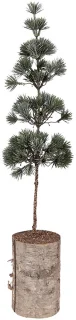 Clayre & Eef Mini Kunstkerstboom 60 cm
