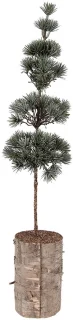 Clayre & Eef Mini Kunstkerstboom 60 cm