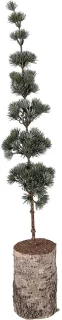 Clayre & Eef Mini Kunstkerstboom