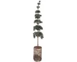 Clayre & Eef Mini Kunstkerstboom