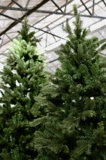 Cocora kunstkerstboom 240 cm