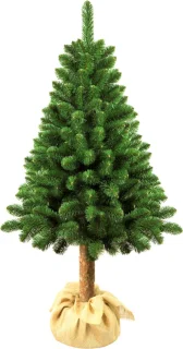 Damich - Dennen kerstboom op stam 160 cm
