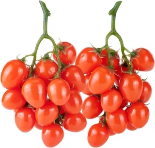 Decoratieve kunstmatige tomaten - set van 2