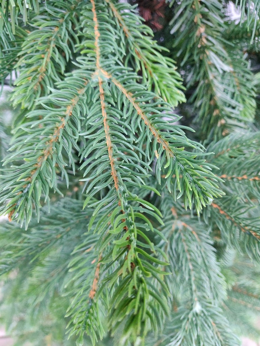 Deluxe Nordmann Kunstkerstboom 180 cm Premium