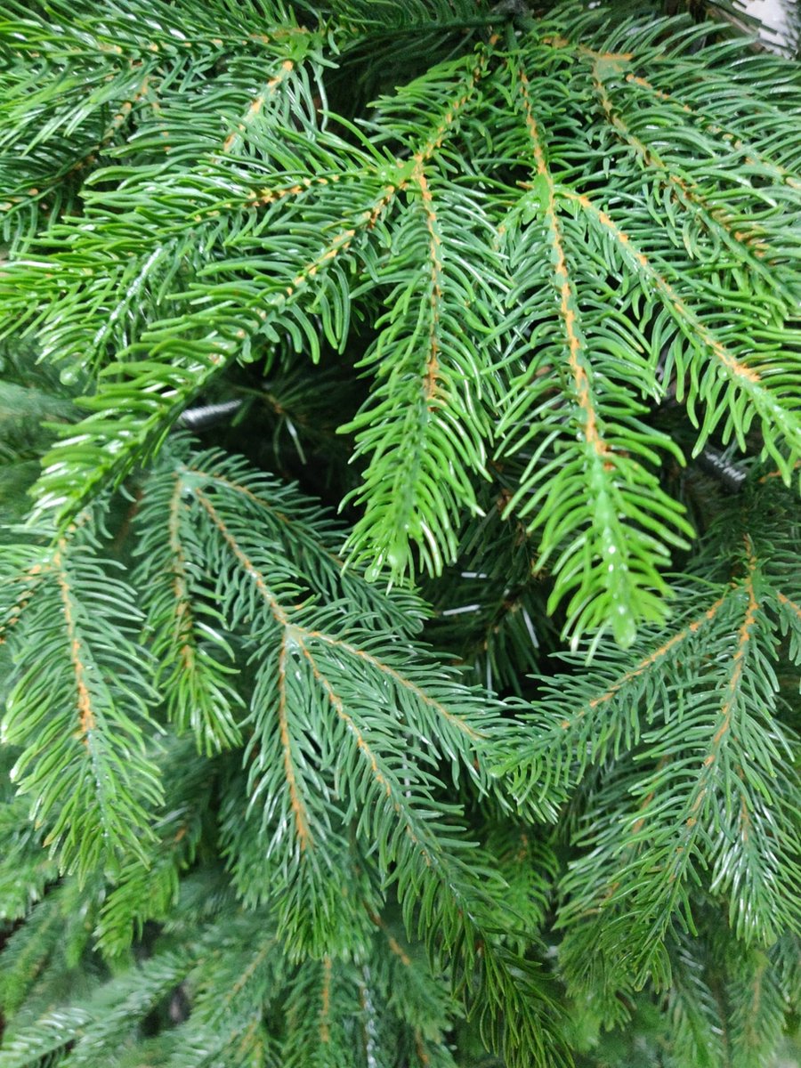 Deluxe Nordmann Kunstkerstboom 180 cm Premium