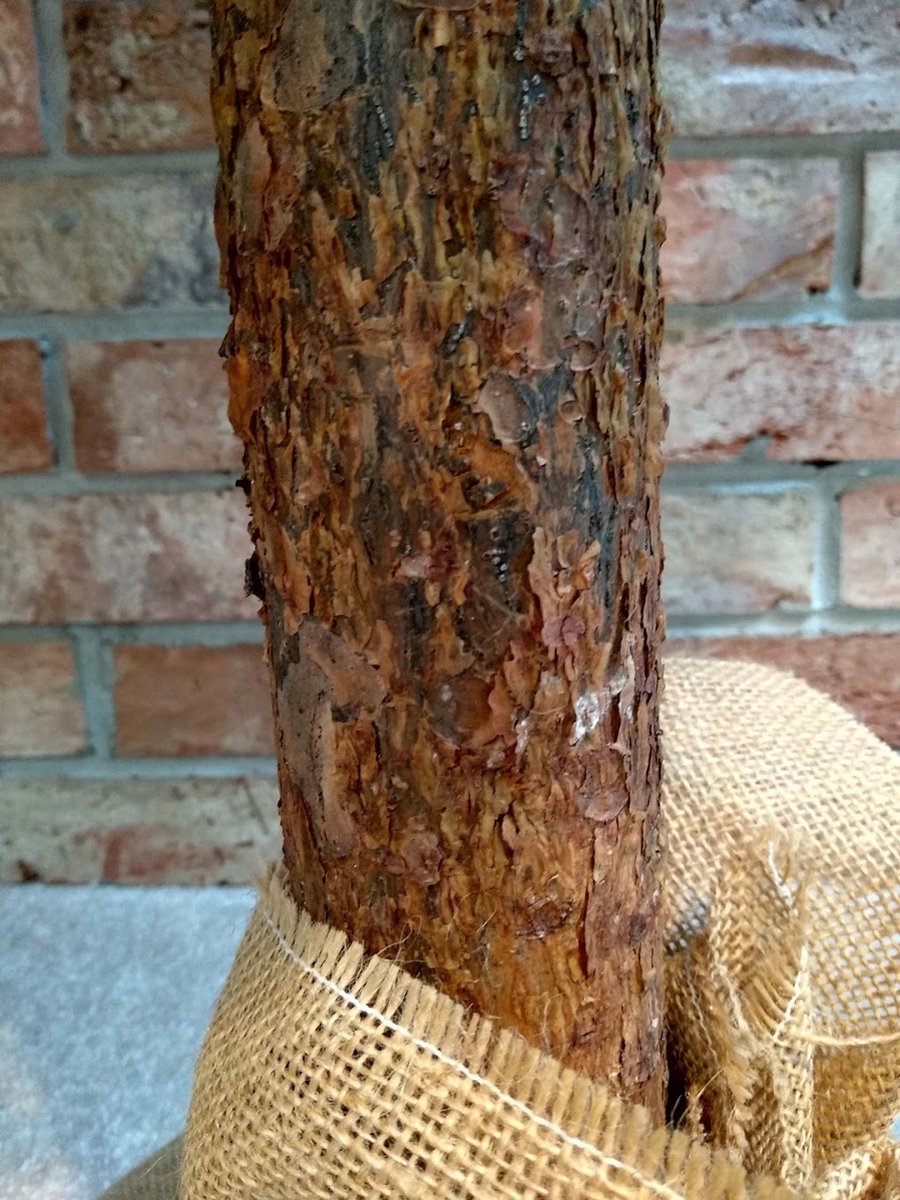 DIAMANT Pijnboom Kunstkerstboom 160 cm op houten stam