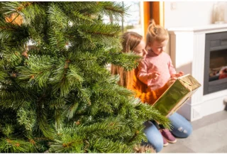 Evergreen Kunstkerstboom PGT01180007
