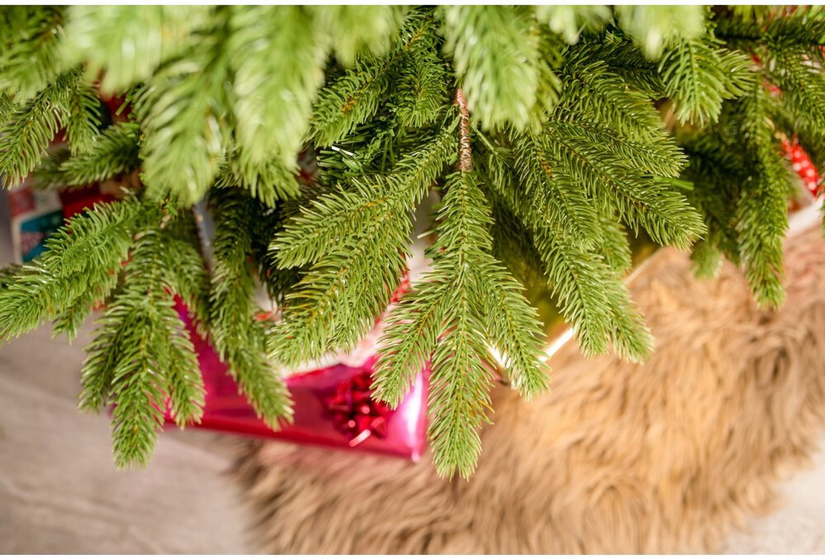 Evergreen Kunstkerstboom PGT01670007