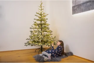 Evergreen Kunstkerstboom PGT01870G07