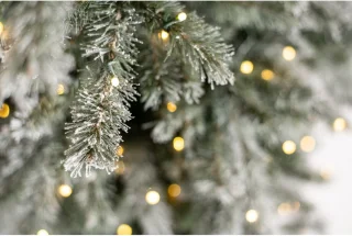 Evergreen Kunstkerstboom PGTG50M3AXJL01