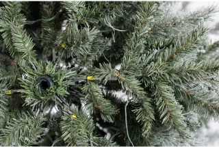 Evergreen Kunstkerstboom PGTG50M3AXJL01