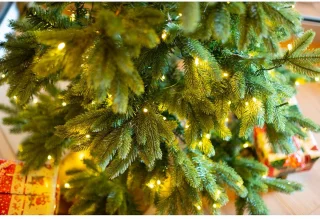 Evergreen Kunstkerstboom PGTG50P2459L02