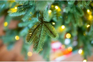 Evergreen Kunstkerstboom PGTG50P2459L02