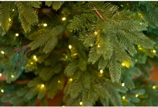 Evergreen Kunstkerstboom PGTG50P2459L02